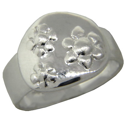 Anillo redondo con flores platabella