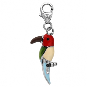 Pajaro Multicolor