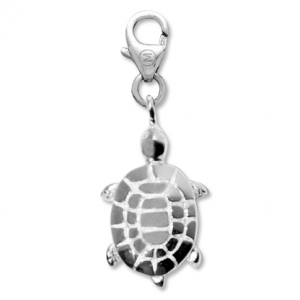 Tortuga