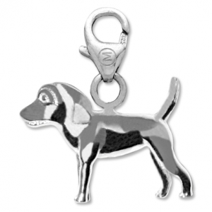 Perro Macizo