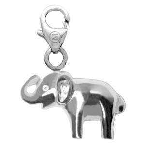 Elefante Macizo