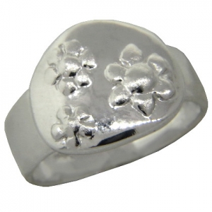 Anillo redondo con flores platabella
